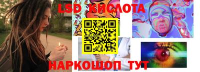 PSILOCYBIN Бердск