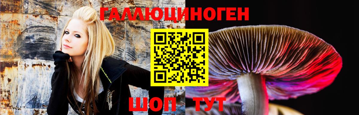 Аша  Галлюциногенные грибы MAGIC MUSHROOMS  Вход с VPN 
